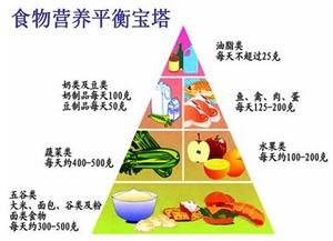食物营养平衡宝塔