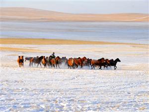 北方的冬天：内蒙古草原