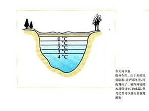 冬天河水温度分布