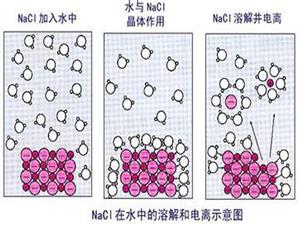 氯化钠在水中的溶解和电离示意图