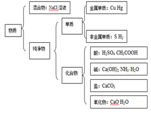 物质分类与举例