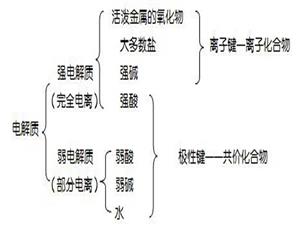 电解质分类