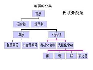 树状分类法