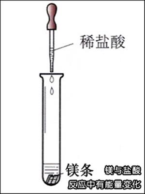 镁与盐酸反应中有能量变化