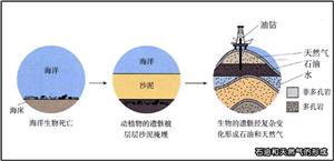 石油和天然气的形成