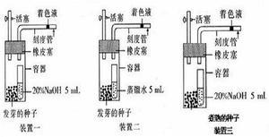 呼吸作用实验3