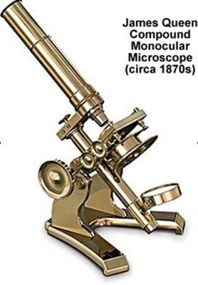 显微镜6