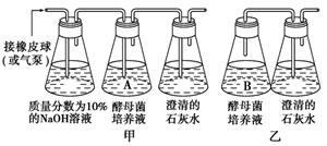 酵母菌的无氧呼吸实验