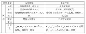 无氧呼吸和有氧呼吸的区别