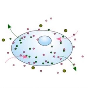 细胞膜控制物质出入