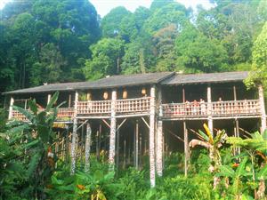 马来群岛中部的热带雨林气候景观