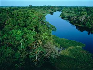亚马孙平原热带雨林气候景观