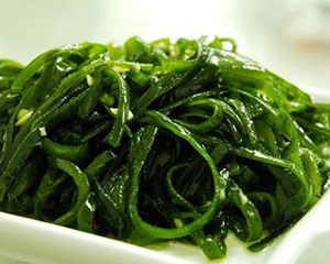 海带 生物 七年级上册(人教版)