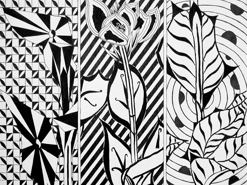 纹样变化 美术 八年级下册(人教版)