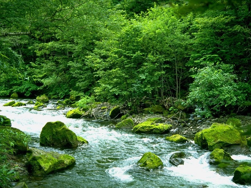 春天-小溪《春天在哪里》