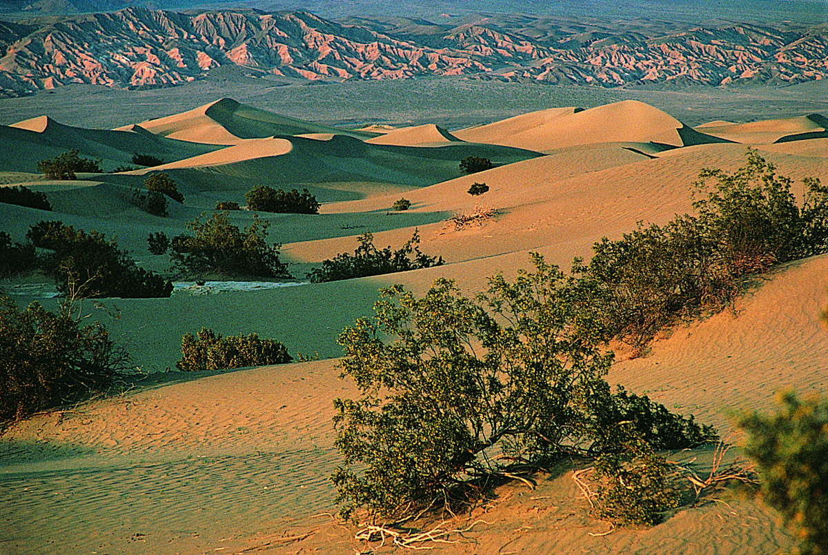 亚热带荒漠景观&nbsp;地理 高中必修1(湘教版)
