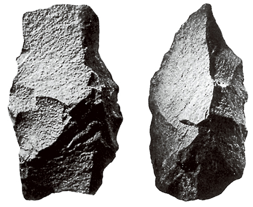 距今175万年前的古人类遗物——石器&nbsp;生物 七年级下册(人教版)