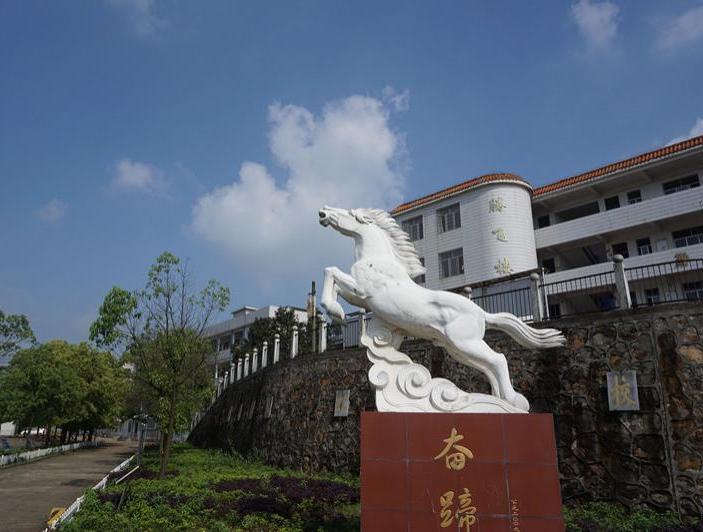 8616作品尚未对外开放湖南省 长沙市 宁乡市 白马桥街道中心小学 小学