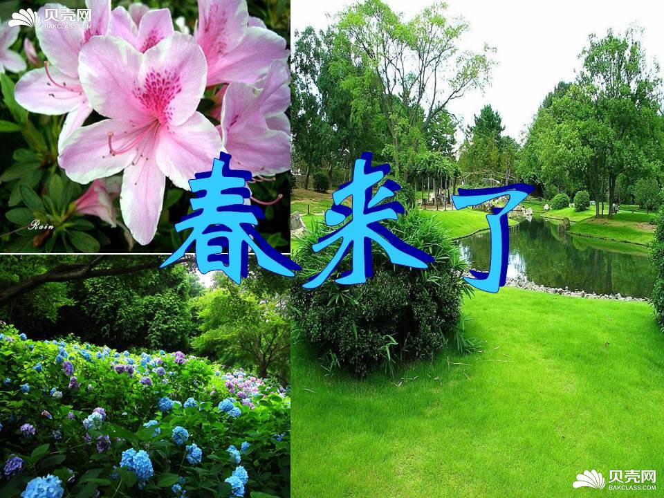 春来了课件3