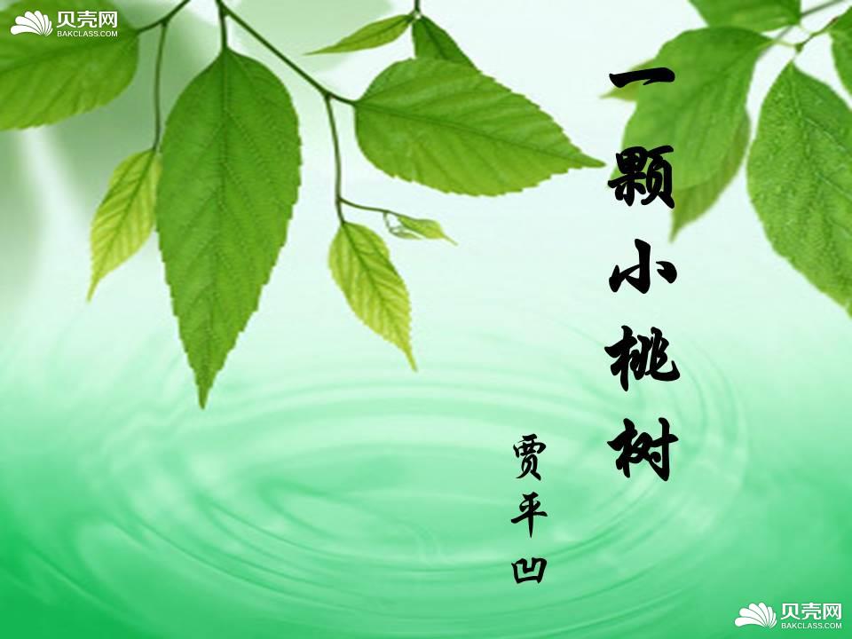 一棵小桃树课件1